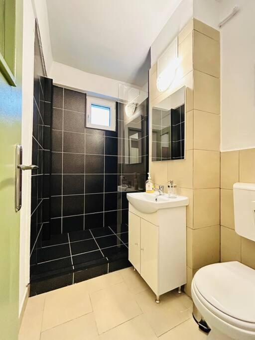 Cosy Apartment #12Lunipebega Тимишоара Экстерьер фото