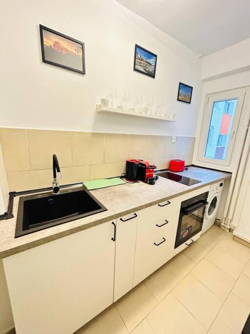 Cosy Apartment #12Lunipebega Тимишоара Экстерьер фото