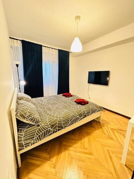Cosy Apartment #12Lunipebega Тимишоара Экстерьер фото