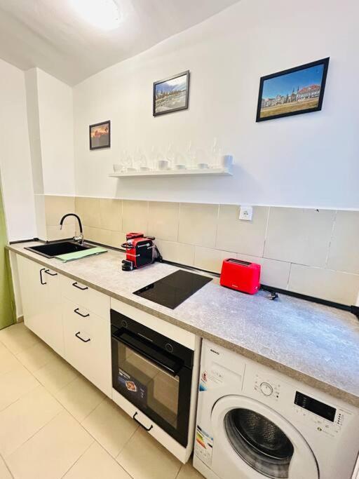 Cosy Apartment #12Lunipebega Тимишоара Экстерьер фото